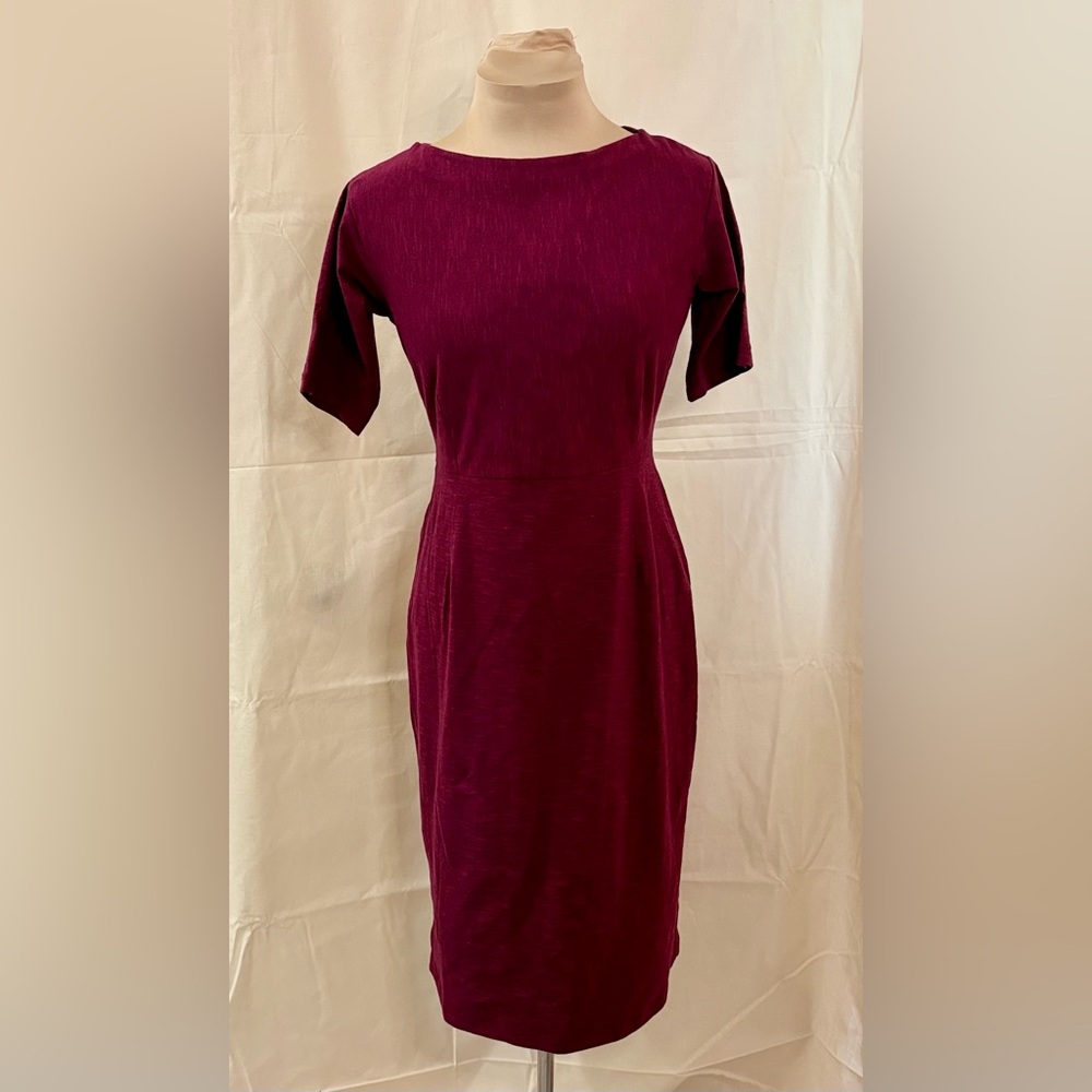 Synergy Organic Clothing Raspberry Sheath Dress
